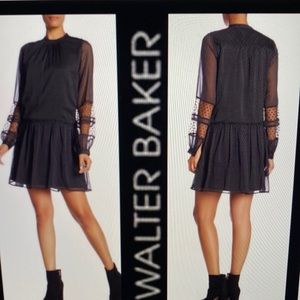 Walter Baker Emily Georgette Dress. Sheer, black Polka Dot Dress. Sz XS